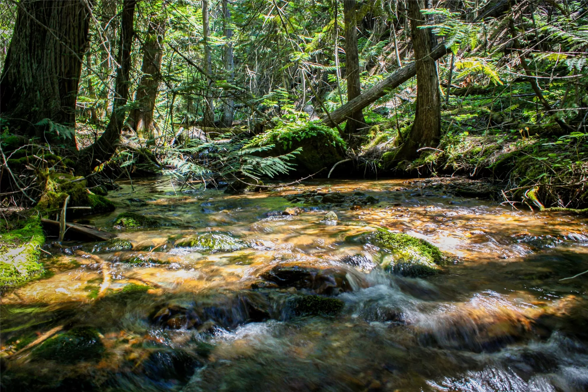 Nhn Johnson Creek Road Superior Unimprovedland Wat