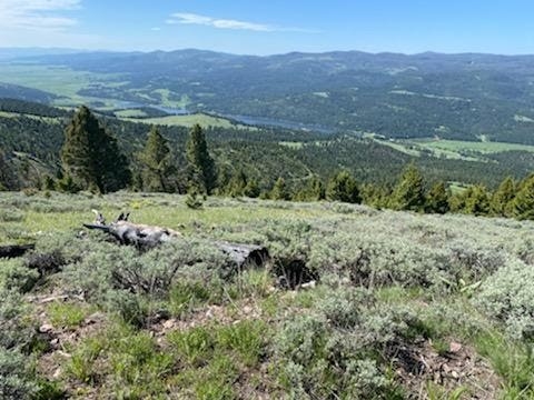 Num13 Tract  Nevada Creek Ranch Helmville Waterfro