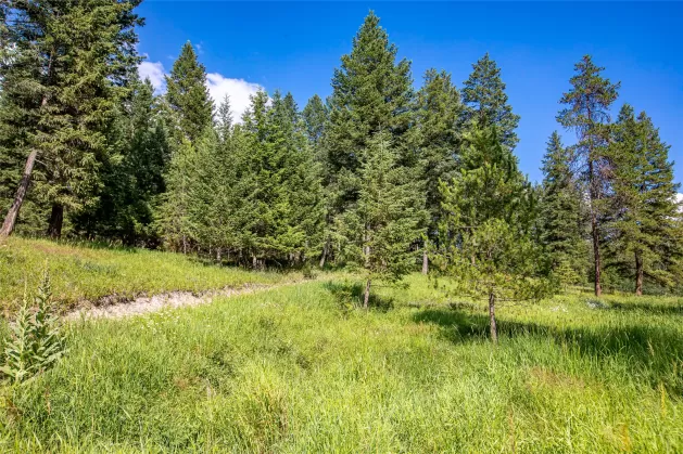 115 Autumn Court Whitefish Unimprovedland Horse Wa