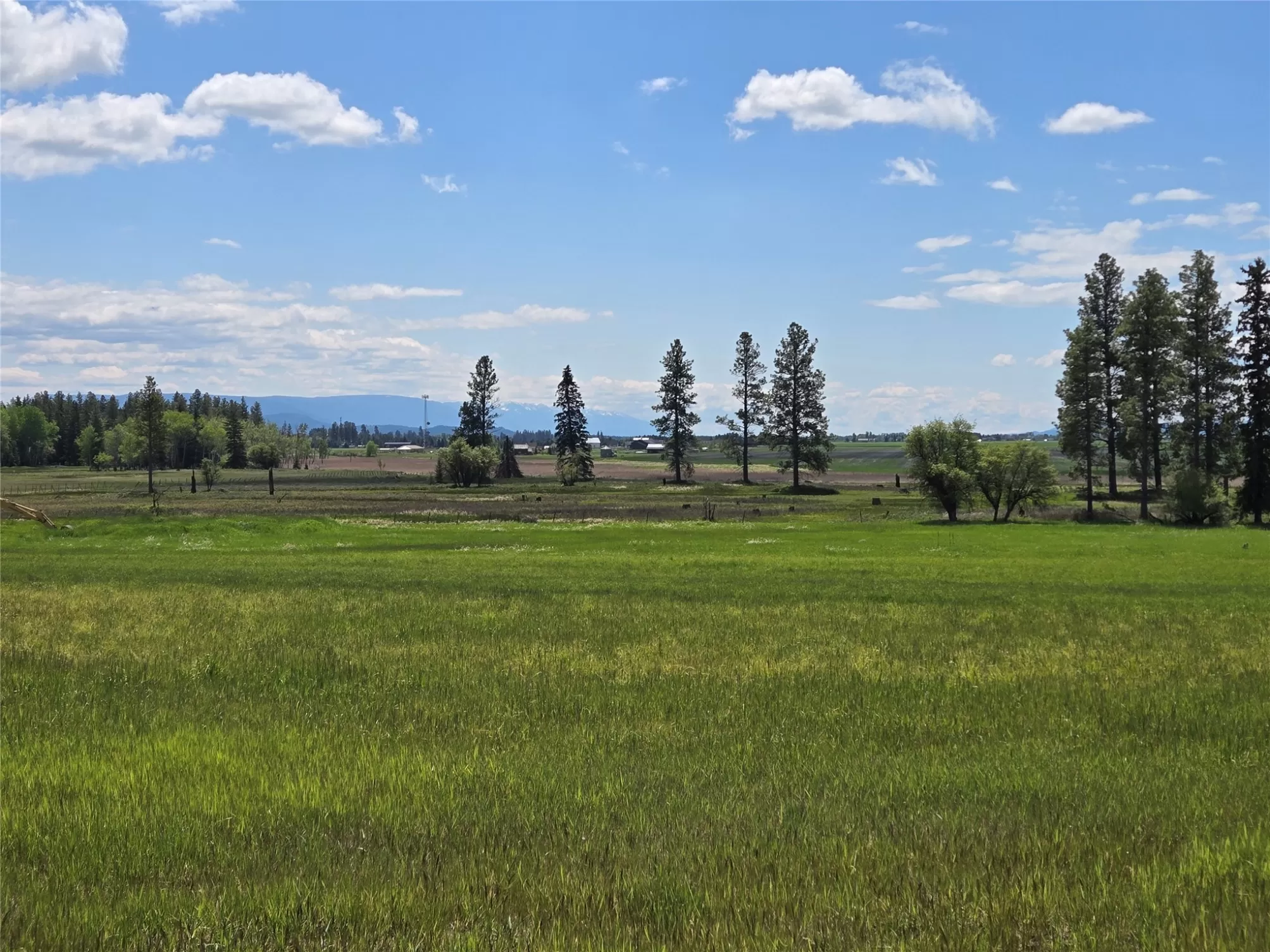 175 Spruce Meadows Lane Kalispell Unimprovedland H