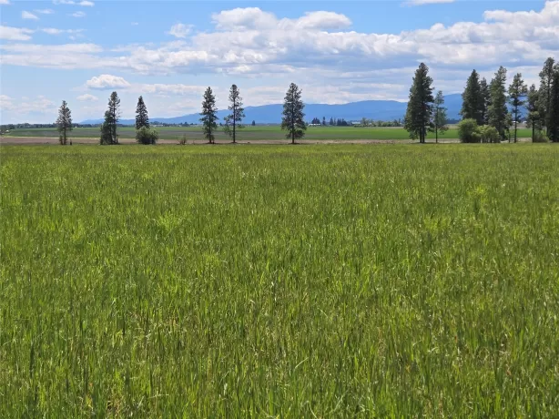 175 Spruce Meadows Lane Kalispell Unimprovedland H