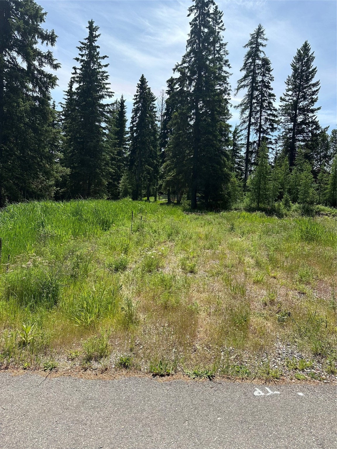 5895 Us Hwy 93 S Whitefish Unimprovedland Condo Wa