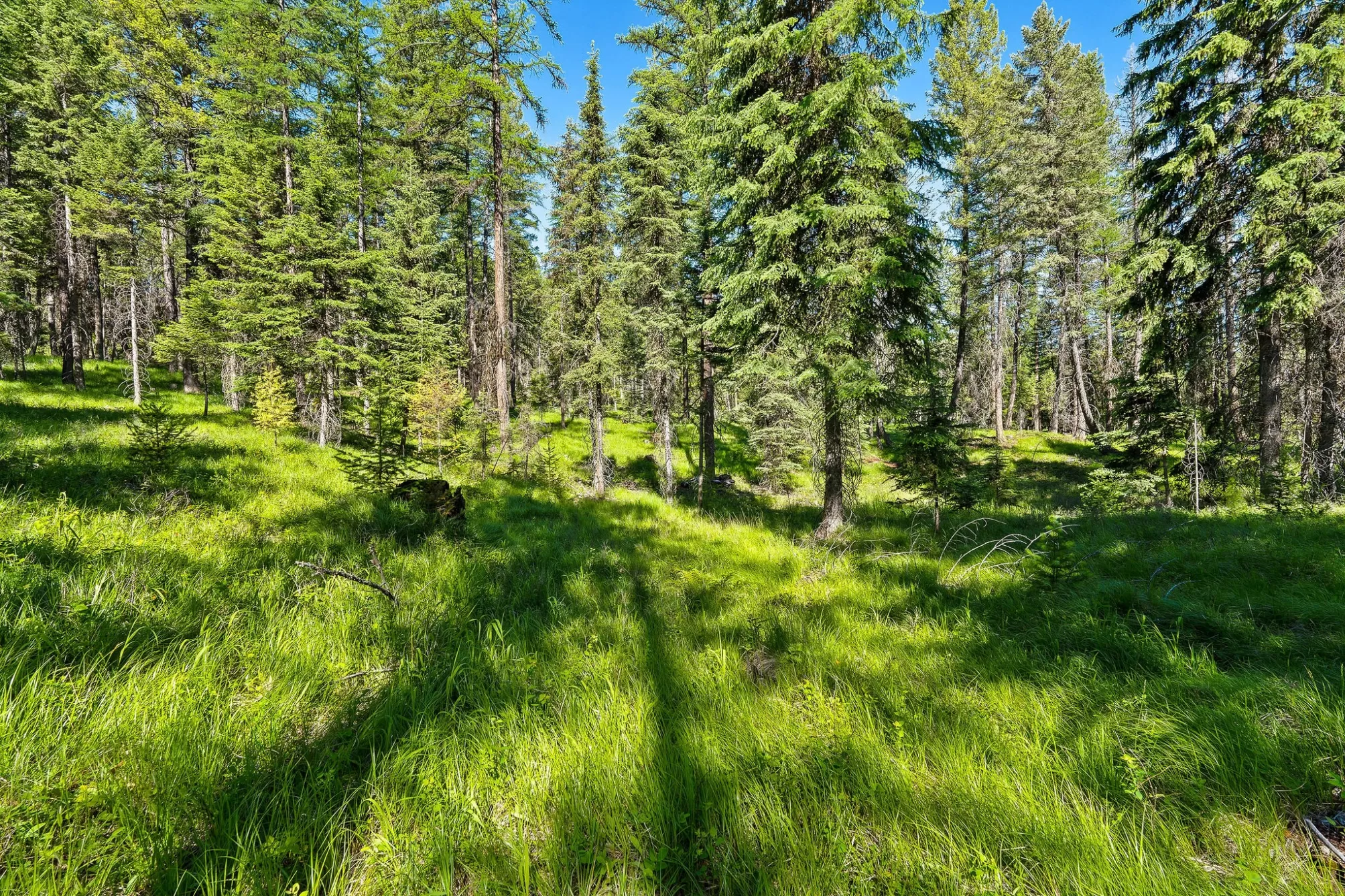 1252 Whitefish Ranch Road Whitefish Unimprovedland