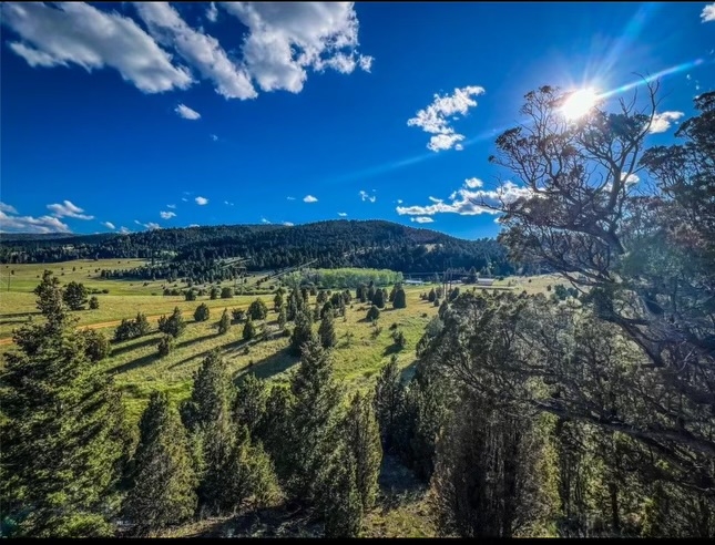 116115 S Buxton Road Butte Singlefamilyresidence 4